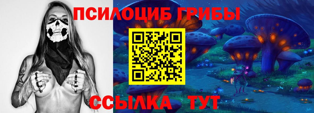 Псилоцибиновые грибы MAGIC MUSHROOMS  как найти наркотики  Алексеевка  Вход с VPN  Галлюциногенные грибы Cubensis 